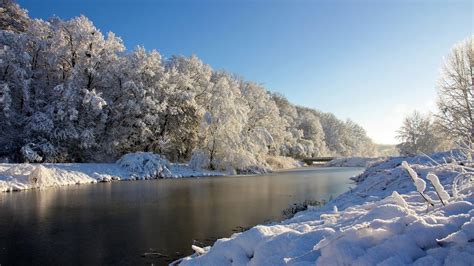 árboles Cubiertos De Nieve El Paisaje Frío De Invierno Avance