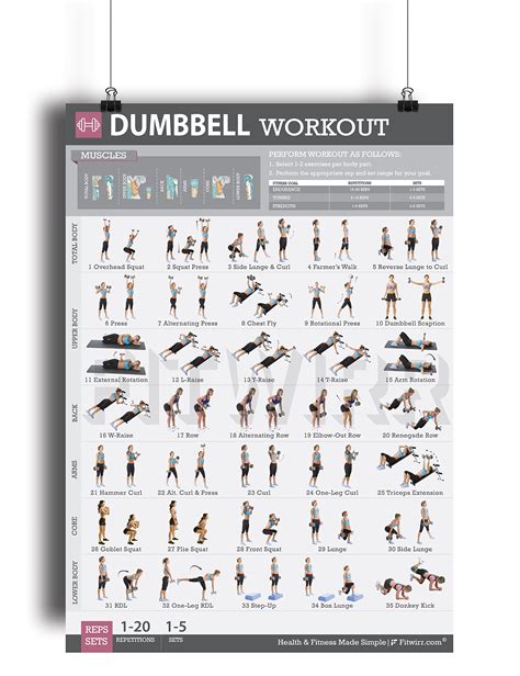 Dumbbell Exercise Workout Poster For Women Laminated Exercise For Women Leg Arm Exercises Home