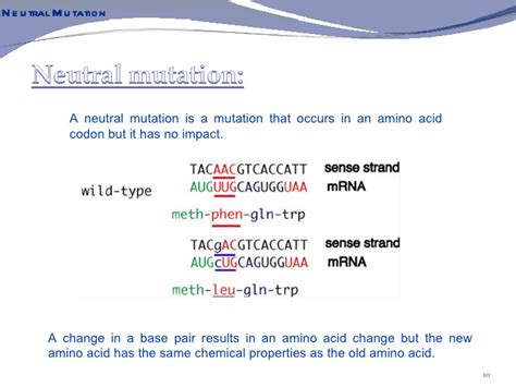 What Is An Example Of A Neutral Mutation