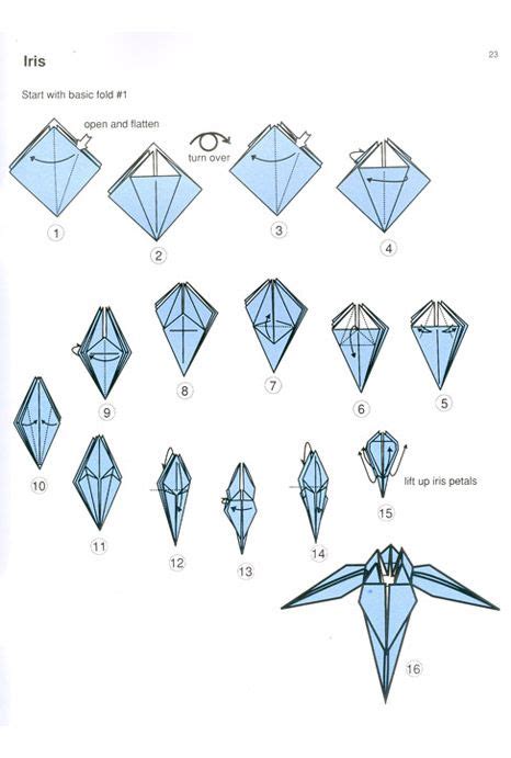 Origami Iris Diagram Titiandagung