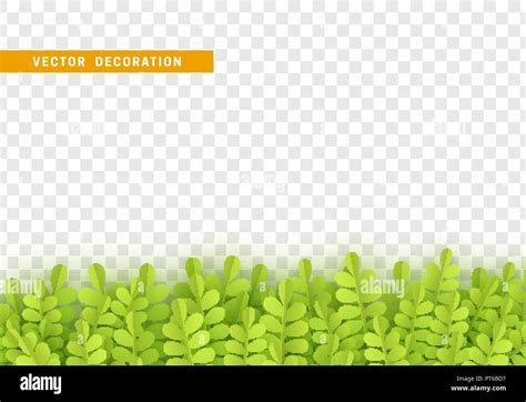 Grass Shape Plant Leaves Border Isolated With Transparent Background