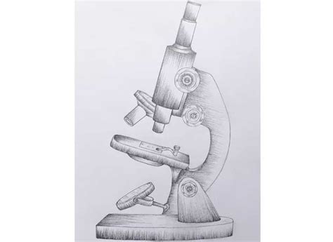 How To Draw What You See In A Microscope