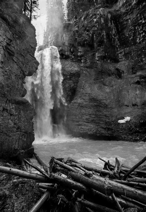 Free Images Tree Nature Forest Rock Waterfall Black And White