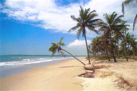 5 Popular Goa Beaches Insight India A Travel Guide To India