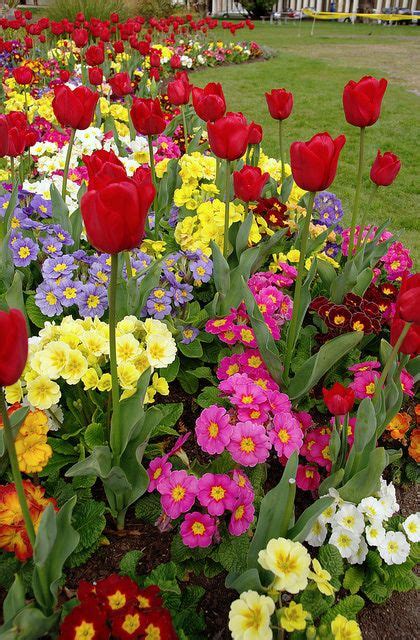 Spring Flower Garden Ideas Garden Ideas Pinterest