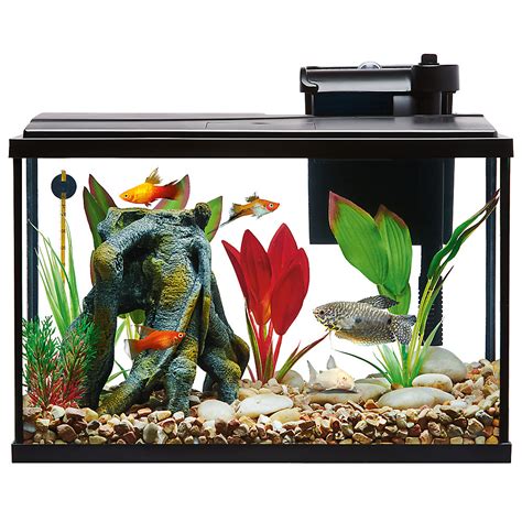 Top Fin Essentials Aquarium Starter Kit 20 Gallon 50 10 Gallon