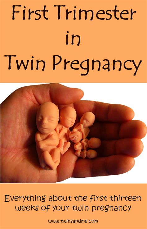 First Trimester Of Twin Pregnancy How Will It Be Twins And Me