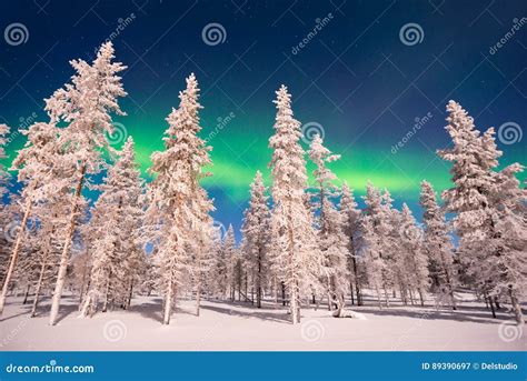 Aurora Boreal Aurora Borealis En Laponia Finlandia Imagen De Archivo
