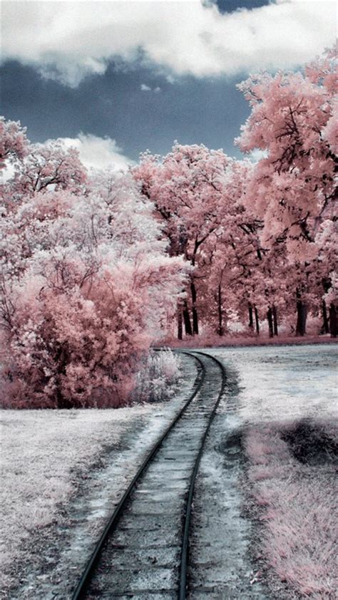 Nature Winter Through Pink Woods Iphone 8 Wallpapers Free Download