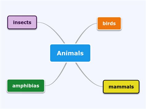 Animals Mind Map