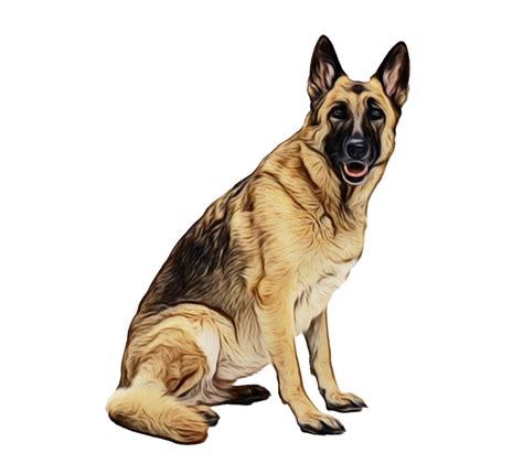 Dog Png Transparent Images Pictures Photos Png Arts