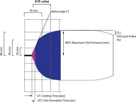 Efficacy Of Solvent Detergent Plasma After Storage At C For Days