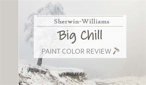 Sherwin Williams Big Chill Review A Favorite Cool Toned Gray