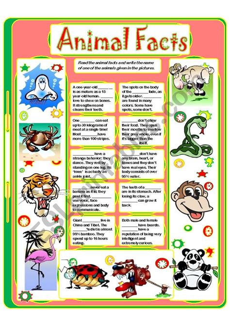 Animal Facts 4 Esl Worksheet By Yulia Mo