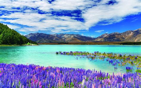 Lake Mountains New Zealand Mountains Flowers Nature Clouds Lake