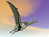 Pteranodon dinosaur flying - 3D render Digital Art by Elenarts - Elena ...