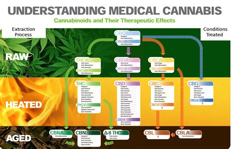 Understanding Medical Cannabis 1 A Life Of Its Own Dans Story 2