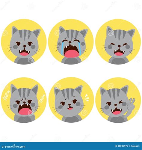 Cat Expressions Stock Vector Illustration Of Animal 85043972