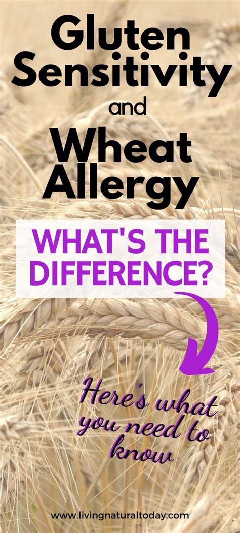 Are You Living With A Wheat Allergy In 2020 Wheat Allergies Wheat
