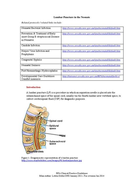 Lumbar Puncture Pdf Meningitis Spinal Cord