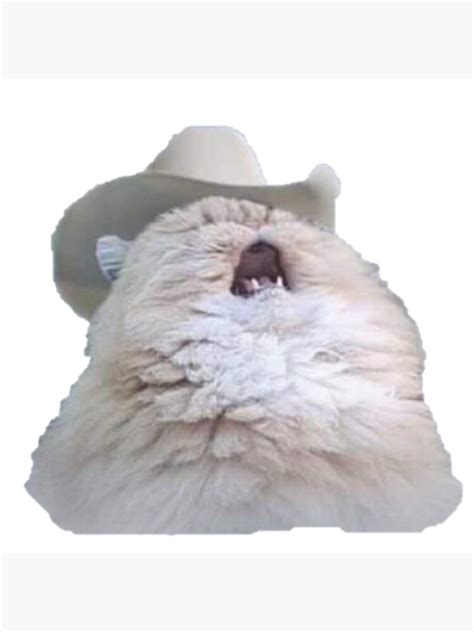 Cowboy Cat Scream Meme Funny Meme Poster For Sale By Memeology69