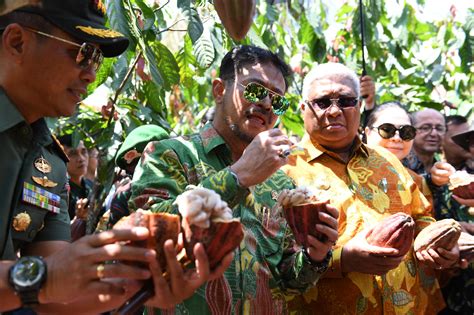 Sektor pertanian masih merupakan domain utama penciptaan lapangan kerja di indoenesia. Mentan Syahrul Tegaskan Membangun Pertanian Tanggung Jawab ...