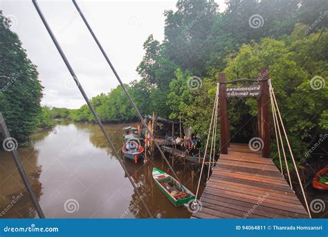 Wooden Bridge In Mangrove Field Rayong Thailand Stock Image Image