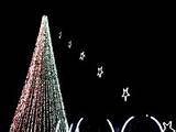 Shad Rack Christmas Lights Images
