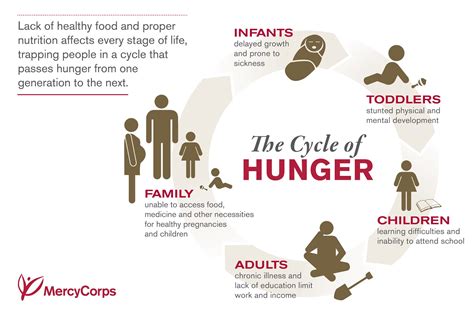 Group 3 Poverty Hunger Cycle Farid Mammadlimadina Alidadeh