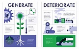 Plant VS Humans infographic | Infographic, Fhe, Pie chart