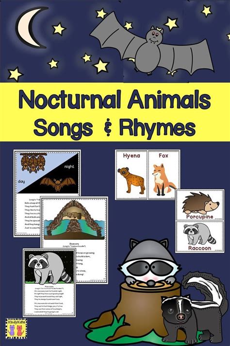Nocturnal Animals Songs And Rhymes Nocturnal Animals Nocturnal