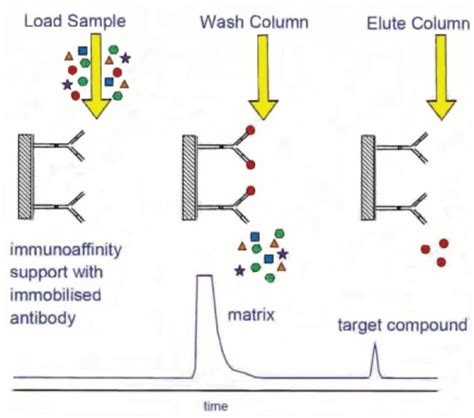 Affinity Chromatography Phase Selectivity Galak Chromatography
