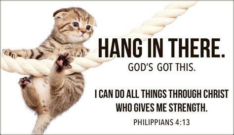 Free Hang in There eCard - eMail Free Personalized Care & Encouragement ...