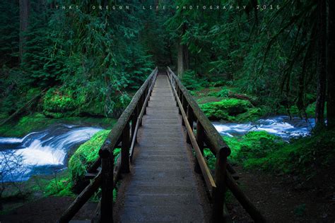 12 Incredible Hikes Near Portland 5 Miles And Under Hikes Near