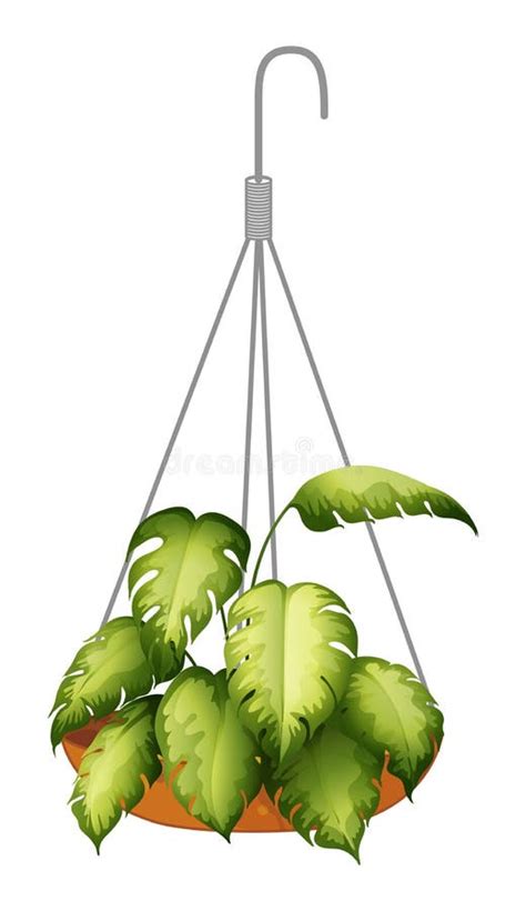 Hanging Green Plant Clip Art Stock Illustrations 213 Hanging Green