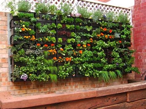 Particularly with urban people where the space for gardening is very limited. Best Vertical Indoor Plant from Home and Garden Catalog ...