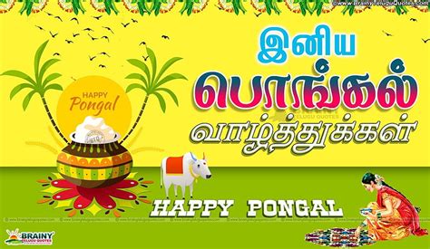 Tamil Pongal Festival Wishes Quotes Hd Wallpaper Pxfuel