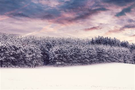 Snow covered 4K Wallpaper, Trees, Winter snow, Landscape, Clouds ...