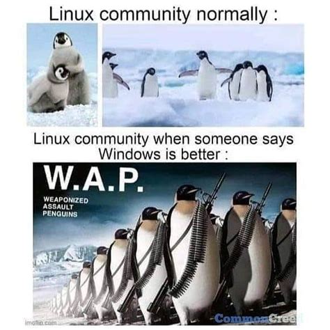 Linux Community Memes Programmer Humor Programming Humor