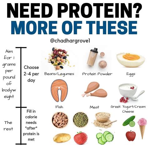 How Much Protein Should You Eat Per Day When Working Out Qhowm