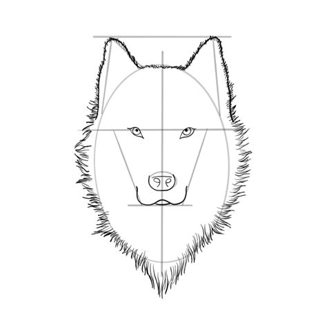 How To Draw A Wolf Head A Guide That Makes Wolf Drawing Easy