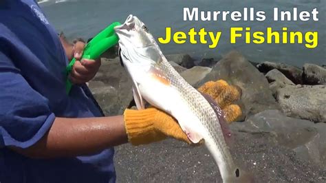These services are no longer offered at 1000 assembly street in downtown columbia. MURRELLS INLET JETTY FISHING - SOUTH CAROLINA (Myrtle ...
