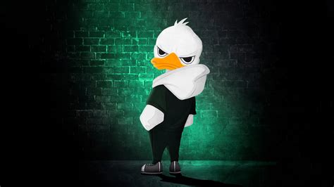 2560x1440 Street Duck 1440p Resolution Hd 4k Wallpapers Images