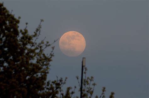 Pink Supermoon In Pictures As Full Moon Lights Up Kent Sky