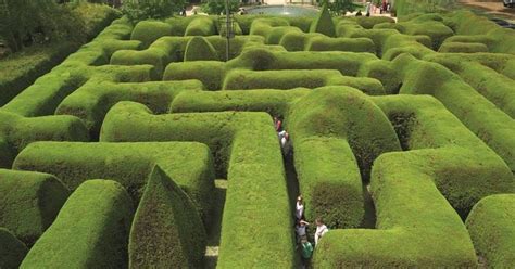 Pavan Mickey Unusual Hedge Mazes In The World