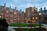 ¿Te gustaría ser feliz? La Universidad Yale lanza su curso – LaVibrante.Com