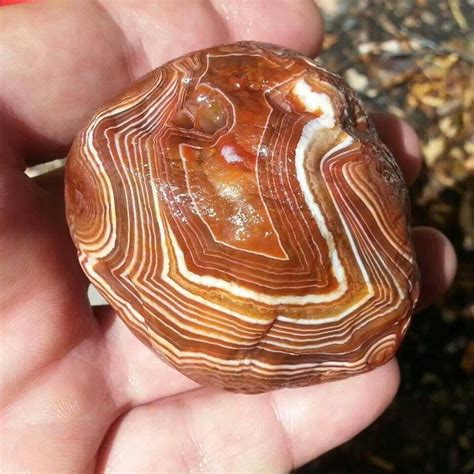 Nice One Lake Superior Agates Rocks And Minerals Cool Rocks