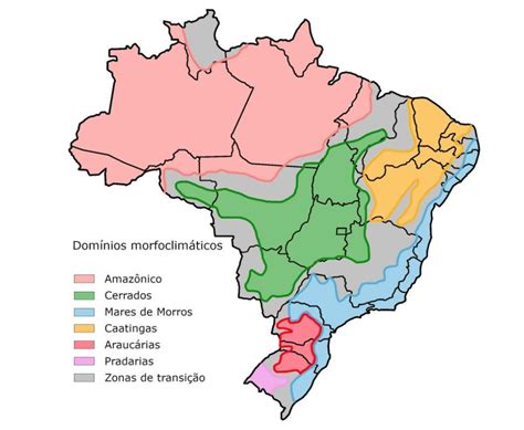 Bioma De São Paulo