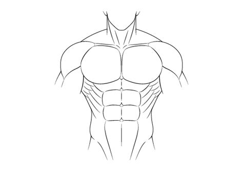 Human Anatomy Drawing Drawings Male Body Drawing