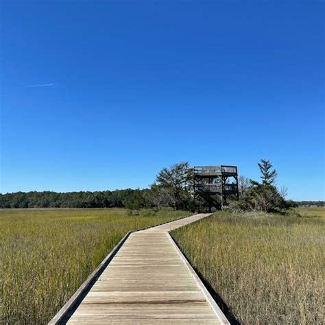 Skidaway Island State Park Savannah Ga